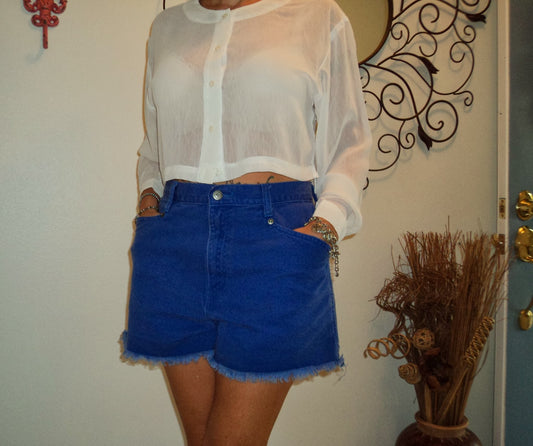 Vintage 90s Bonjour High-Waisted Denim Cut-Off Shorts – Capri Blue