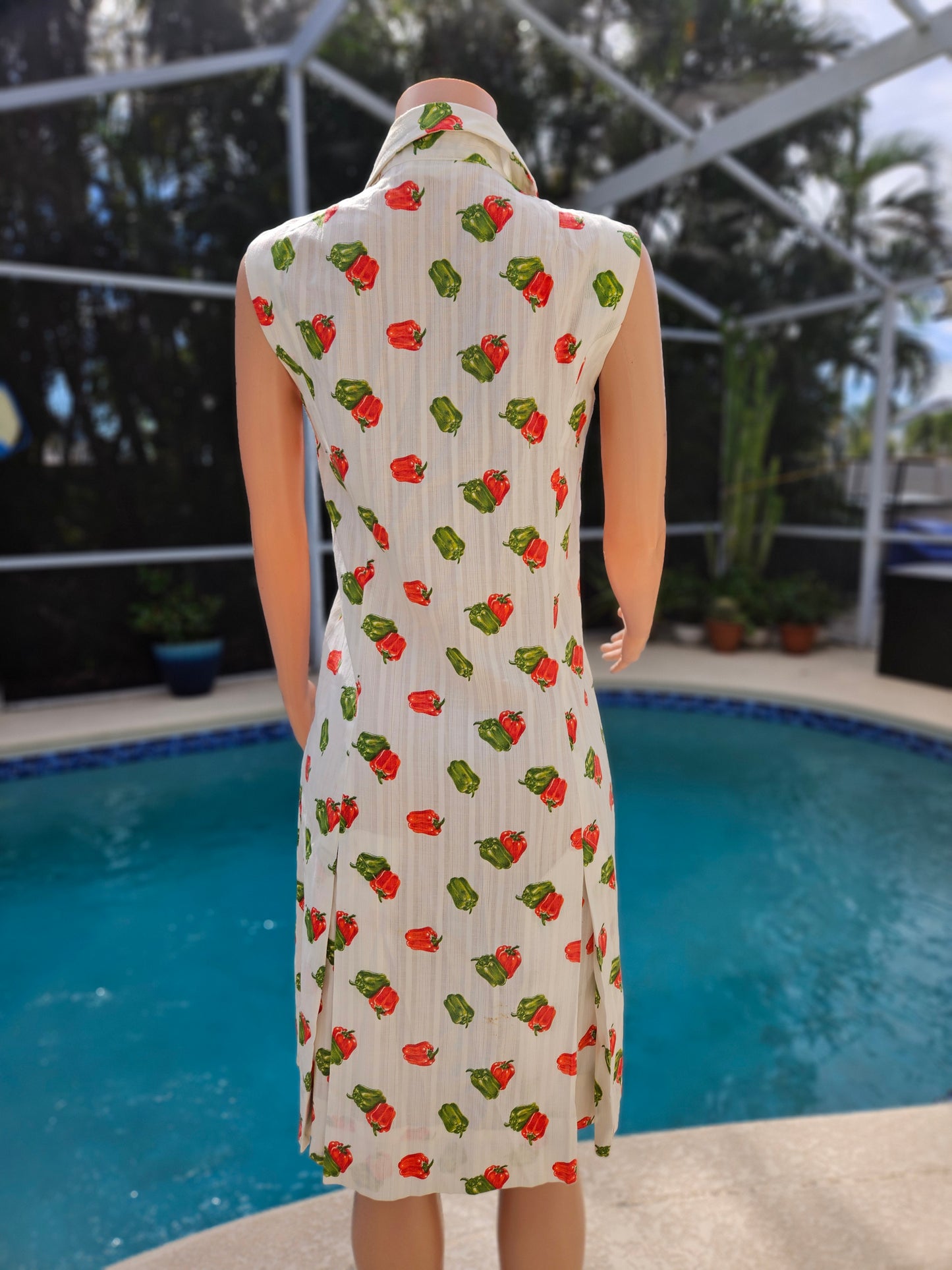 Vintage Green Pepper Dress image 3