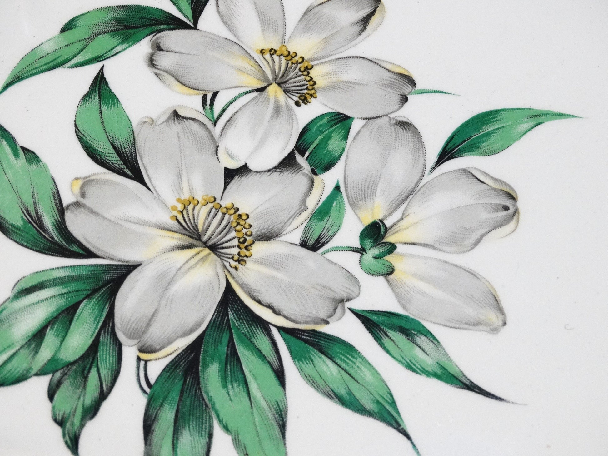 Vintage Royal China Platter WHITE DOGWOOD with handles image 4