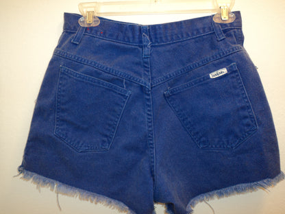 Vintage 90s Bonjour High-Waisted Denim Cut-Off Shorts – Capri Blue