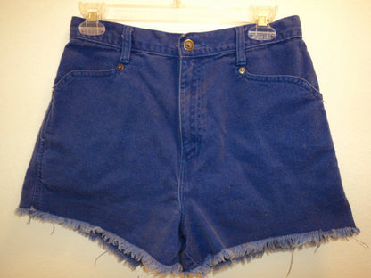 Vintage 90s Bonjour High-Waisted Denim Cut-Off Shorts – Capri Blue
